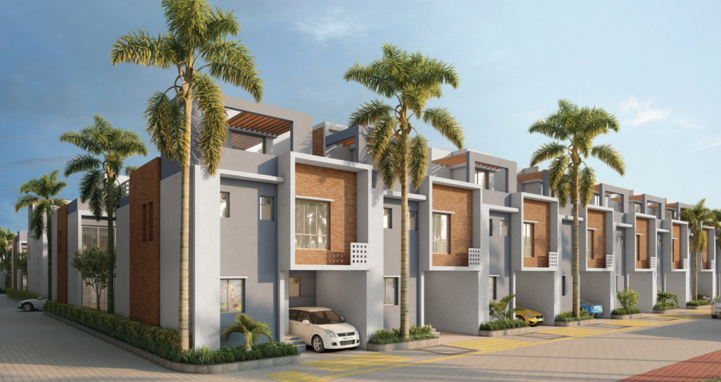 Palm Grove